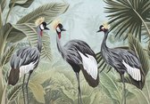 Vliesbehang Jungle Kraanvogels XXL – Tropisch Fotobehang – 368 x 254 cm – Groen