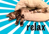 Grappige kattenkaarten - set van 8 dezelfde kaarten - Relax cats