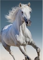 Paarden plaid - 100 x 140 cm. - 100% polyester - Paard fleece deken