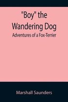 Boy the Wandering Dog