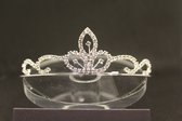 Mooie tiara, kroon, bruid, prinses, haaraccessoire, luxe diadeem, Haarpin, bloemen, haarpin, strass, koningin, maangodin, godin