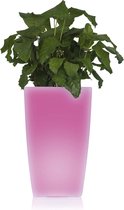 MAXXMEE - Bloempot Solar LED Bucket Box Tuinlamp - Lamp Decoratie Planten Verlicht