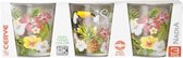Nadia Summer Time glas - 250 ml - Set-3