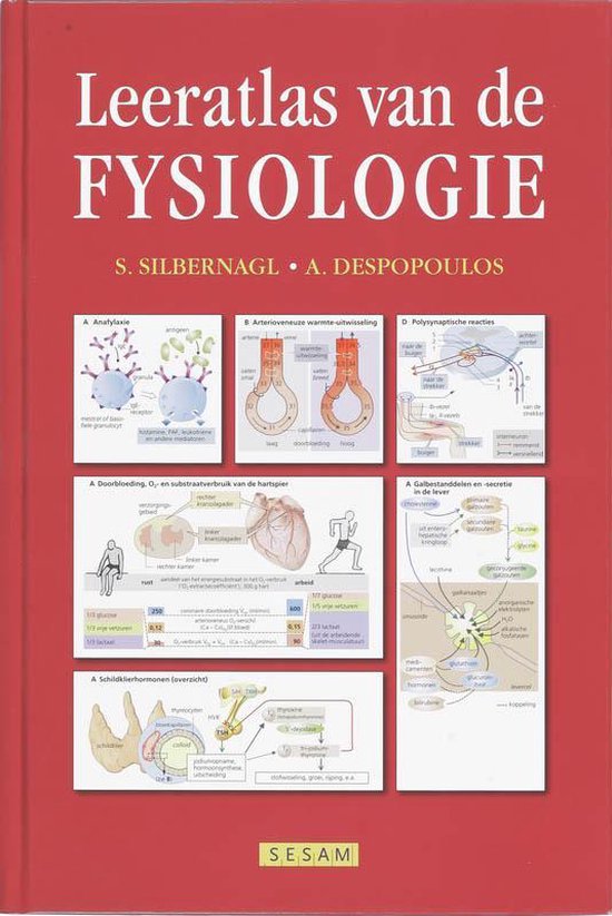 Cover van het boek 'Leeratlas van de fysiologie / deel Tekstboek / druk 1' van Stefan Silbernagl en Agamemnon Despopoulos