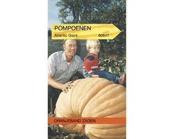OBZ 660647 Pompoenen Atlantic Giant