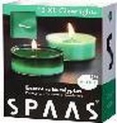 Spaas XL Clearlights Geparfumeerde Waxinelichtjes - Eccentric Eucalyptus - 12 Stuks