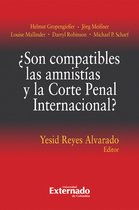 ¿Son compatibles las amnistías y la Corte Penal Internacional?