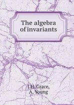 The algebra of invariants