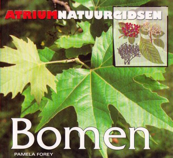 Atrium Natuurgids Bomen