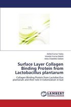 Surface Layer Collagen Binding Protein from Lactobacillus Plantarum