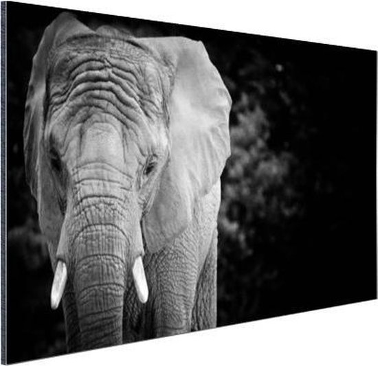 Wanddecoratie Metaal - Aluminium Schilderij Industrieel - Portret van een olifant in zwart-wit - 90x60 cm - Dibond - Foto op aluminium - Industriële muurdecoratie - Voor de woonkamer/slaapkamer