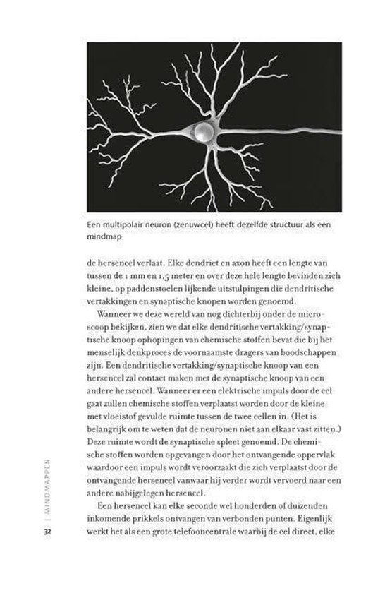Mindmappen