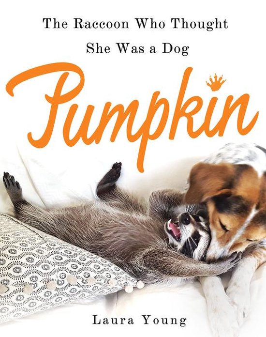 Pumpkin: The Raccoon Who Thought She Was a Dog - cover