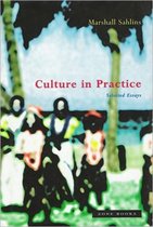 Culture in Practice - Selected Essays