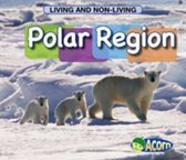 In a Polar Region