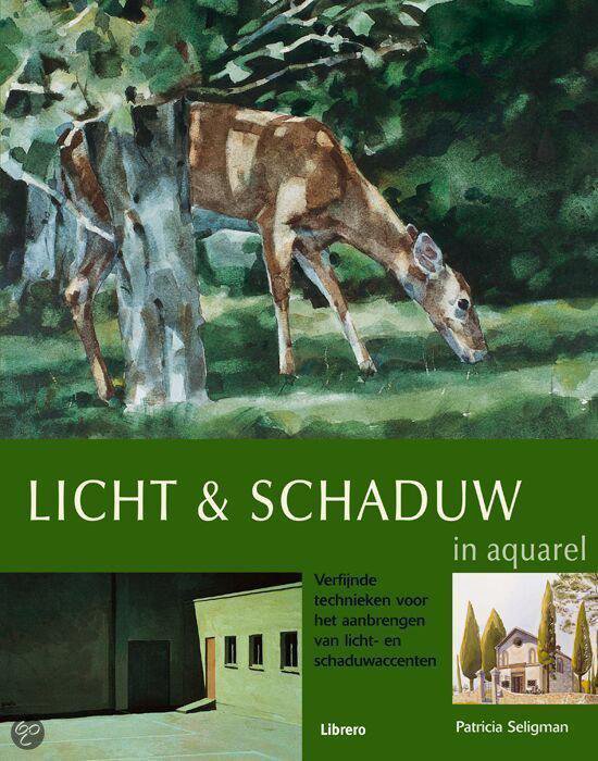 Licht En Schaduw In Aquarel - Patricia Seligman | Respetofundacion.org