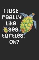 I Just Really Like Sea Turtles, OK?