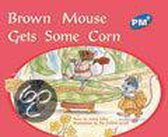 Brown Mouse Gets Some Corn