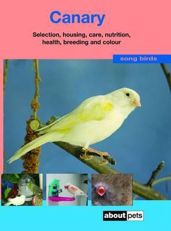 The Canary - cover