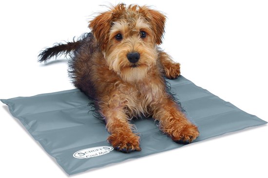Scruffs Koelmat Hond - Grijs - S - 50 x 40 cm