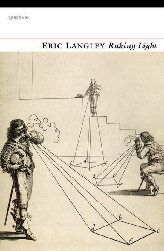 Raking Light (ebook), Eric Langley 9781784103330 Boeken