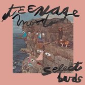 Teenage Moods - Select Buds (12" Vinyl Single)