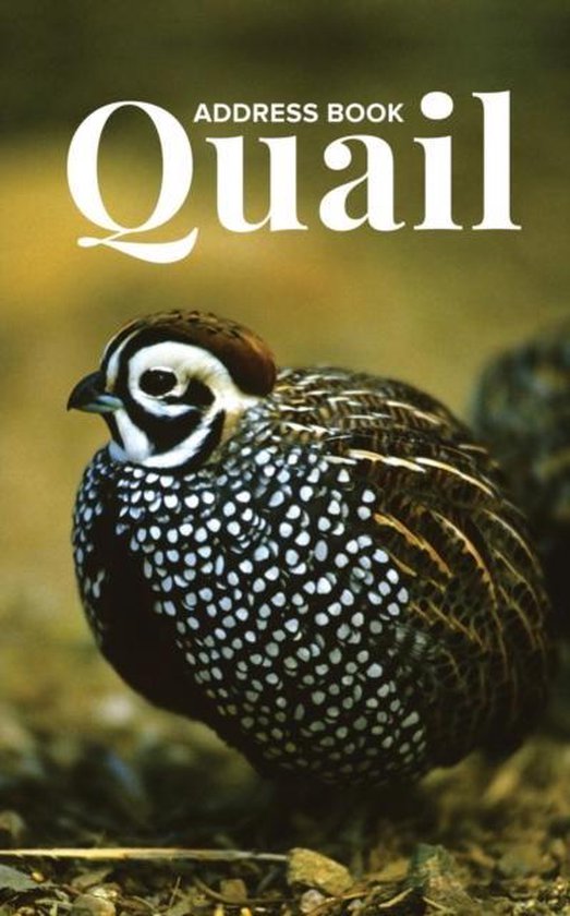 Address Book Quail - cover