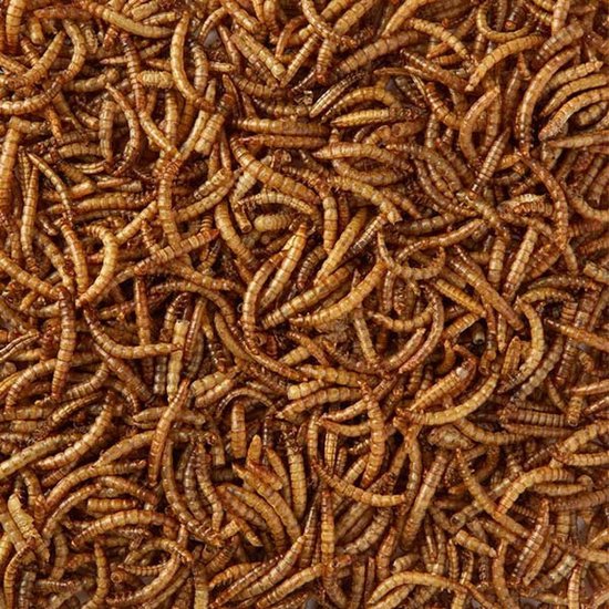 Voerwaarts Meelwormen 10kg - Gedroogde Meelwormen - Buitenvogelvoer - kippenvoer - Visvoer 10 kg ( 2x5kg) - Grevers Voeders