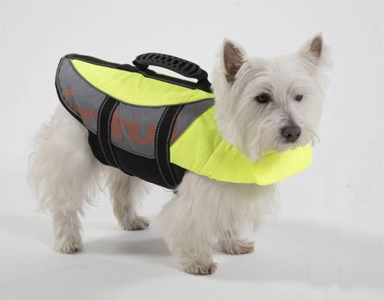 Salty dog discount life jacket