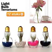 Gloeilamp Terranium vaasjes / Zout en Peper vaasjes - 12 stuks| Pride Kings®