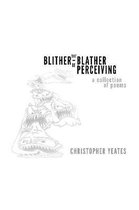 The Blither-Blather of Perceiving