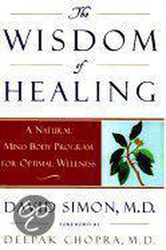 The Wisdom of Healing - cover