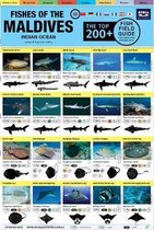Maldives Fish Field Guide Top 200+