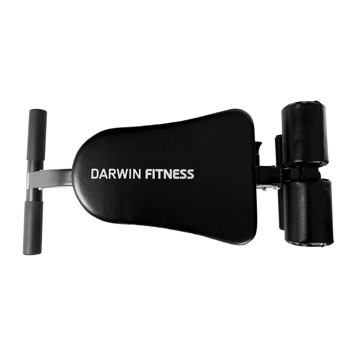 Darwin Darwin Buik- en Rugtrainer Trainingsbank - afbeelding 2