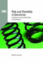 Risk and Flexibility in Electricity