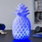 Wagon Trend Grote Multi Color Ananas LED Ananas