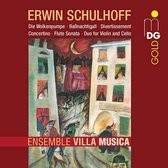 Ensemble Villa Musica - Divertissement/Concertino/Flut (CD)