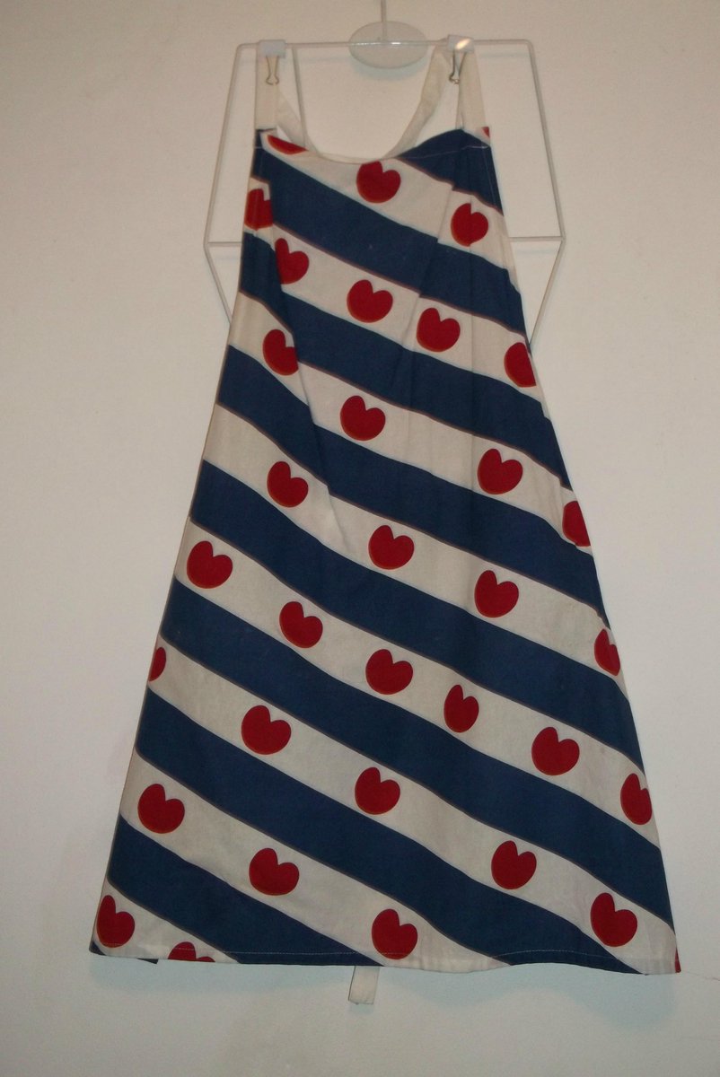 Schort Friese vlag