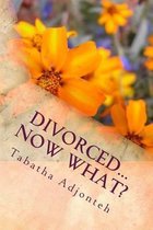 Divorced...Now What?