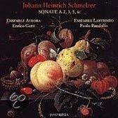 Schmelzer: Sonate a 2, 3, 5, 6 / Aurora, Labyrinto
