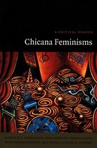 Post-Contemporary Interventions - Chicana Feminisms
