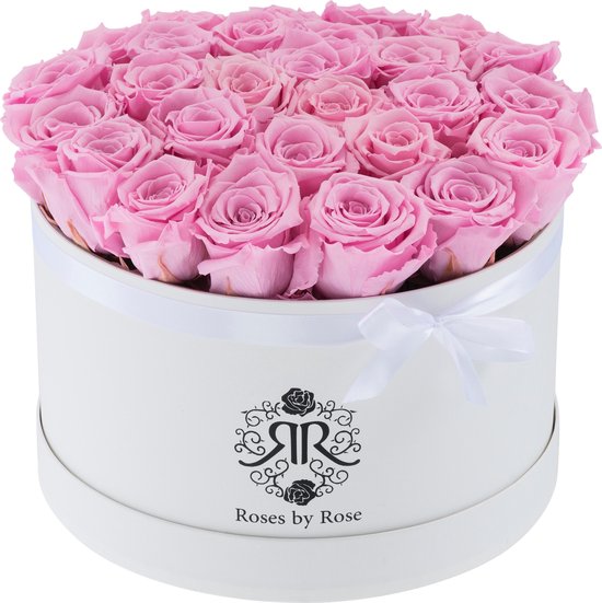 Voel me slecht Intrekking Kruis aan Eternity rozen -Flowerbox - Cotton Candy Longlife rozen - XL wit | bol.com