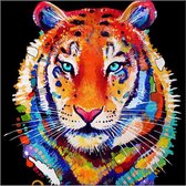 Paquet de peinture au diamant - Tête de tigre - 30 x 30 cm - Réalisez vous-même les plus belles peintures
