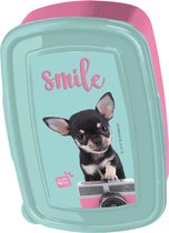 Studio Pets Chihuahua Camera - Lunchbox - 18,5 x 13 cm - Multi