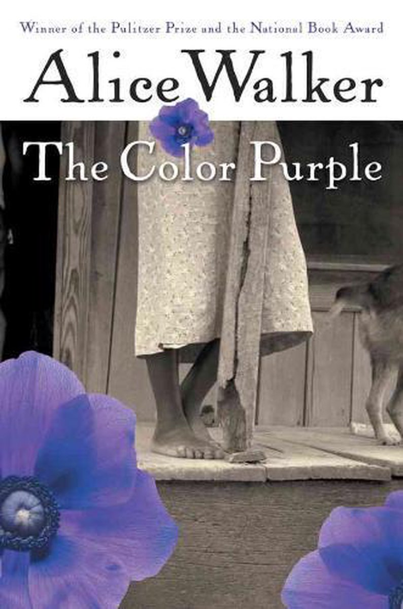 alice walker the color purple essay