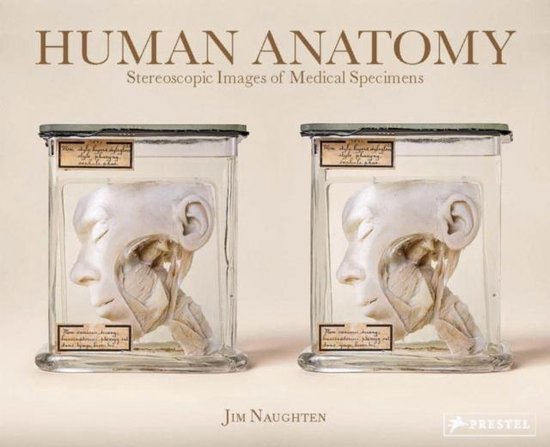 Human Anatomy - cover