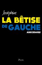 La bêtise de gauche