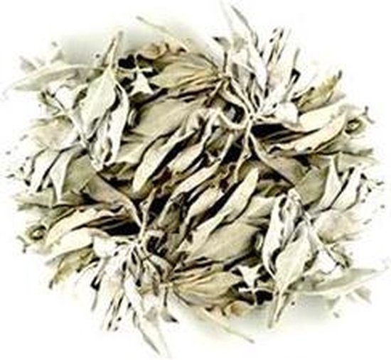 Premier poeder lepel Witte Salie - 500 gram - White Sage – Smudge - GRATIS VERZENDING!! | bol.com