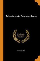 Adventures in Common Sense