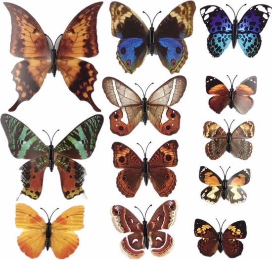 3D vlinders | Mix herfst - 3D-Vlinders.nl